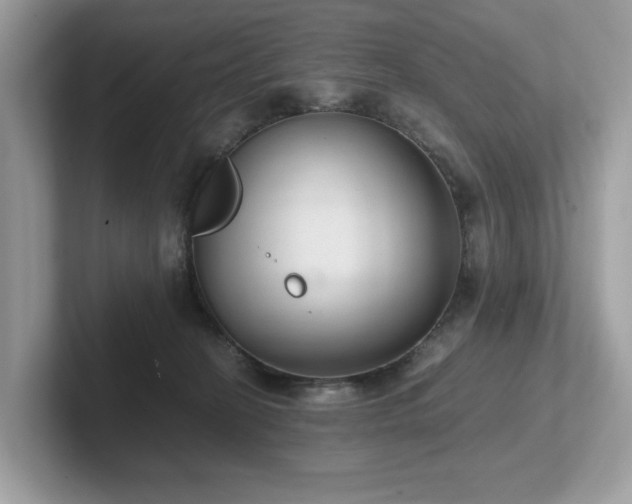 X0000102300274200807251441