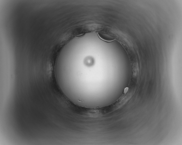 X0000102300279200807251441