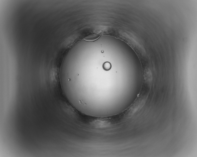 X0000102300280200807251441