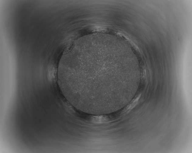 X0000102300281200807251441