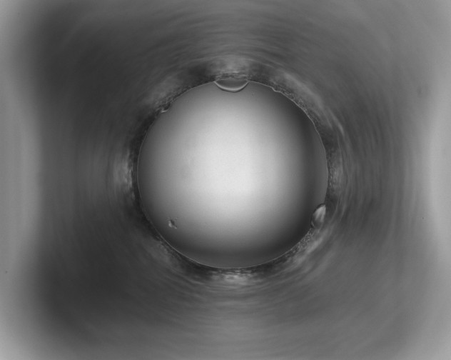 X0000102300282200807251441