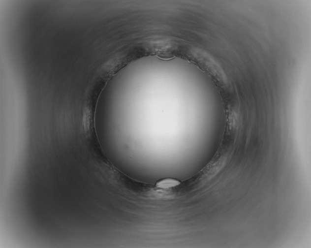 X0000102300283200807251441