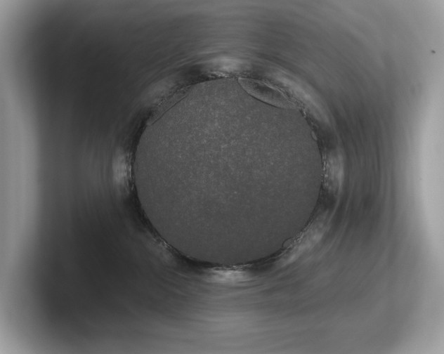 X0000102300284200807251441