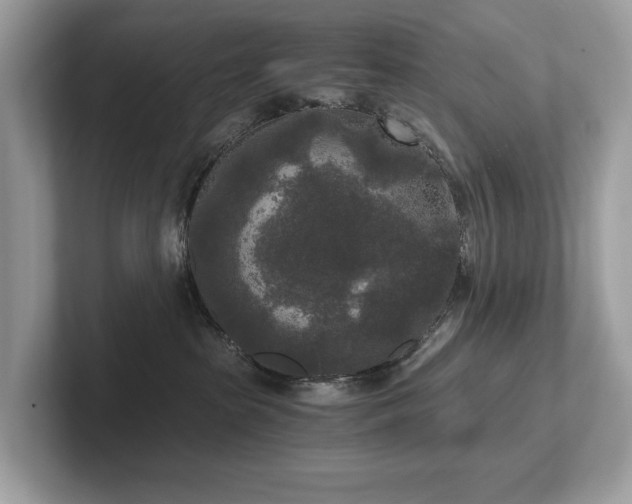 X0000102300285200807251441