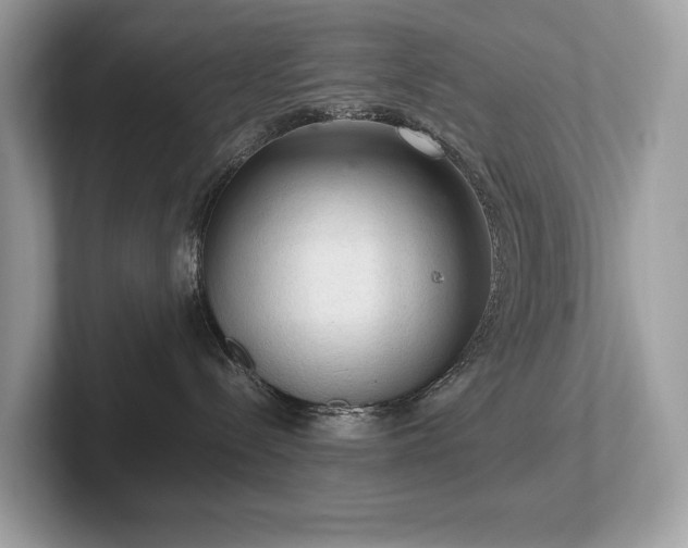 X0000102300288200807251441