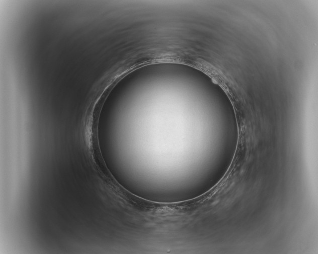 X0000102300290200807251440