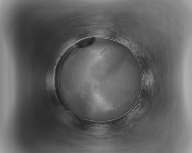 X0000102300292200807251440