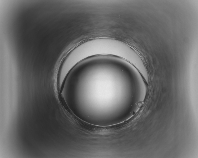 X0000102300293200807251440