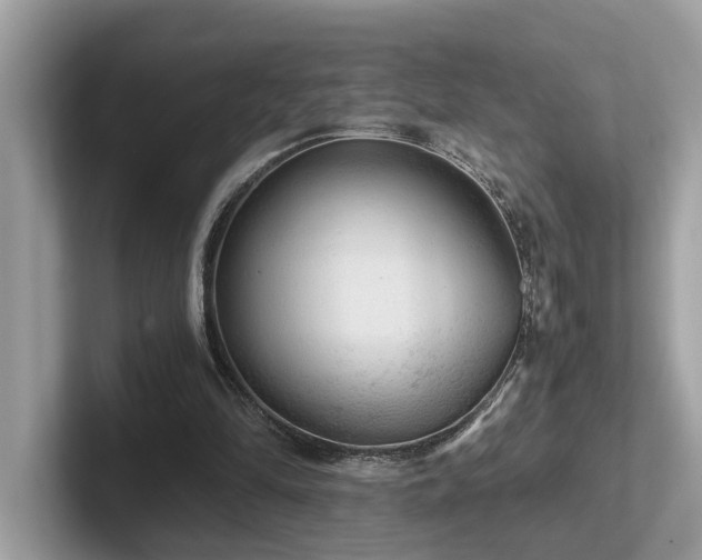 X0000102300294200807251440