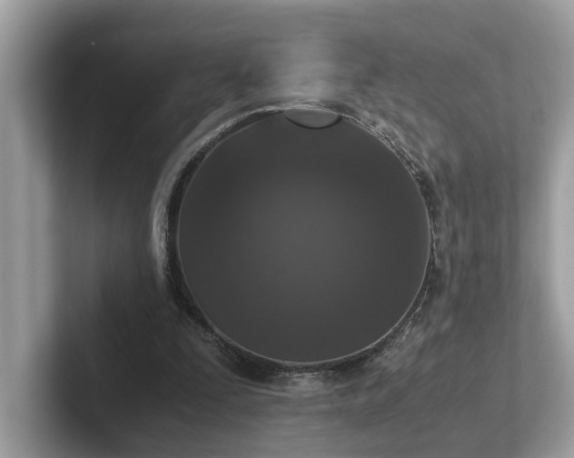 X0000102300295200807251440