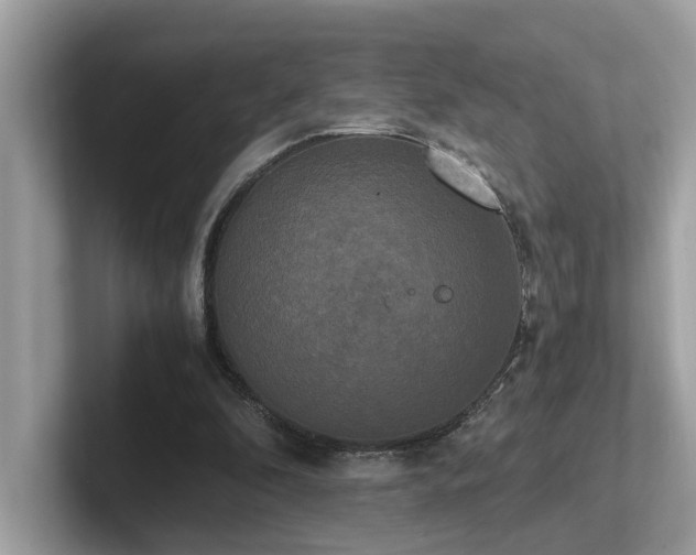 X0000102300296200807251440