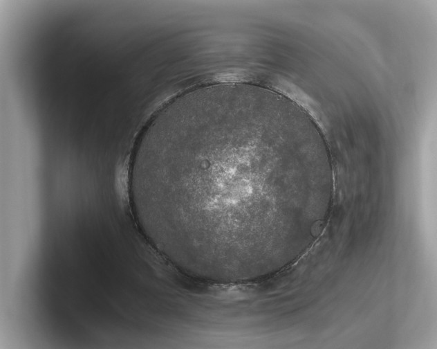 X0000102300297200807251440