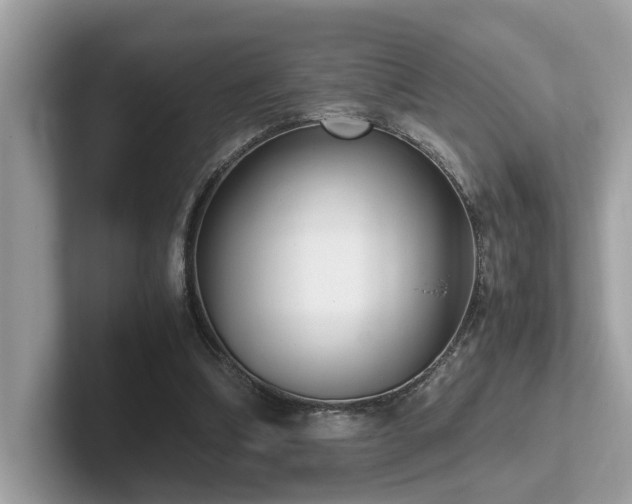 X0000102300298200807251440