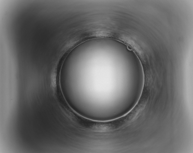 X0000102300299200807251440