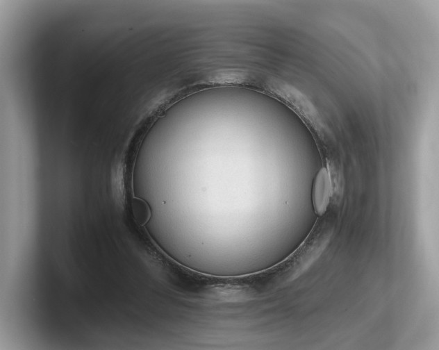 X0000102300300200807251440