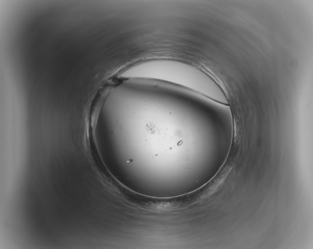 X0000102300301200807251440