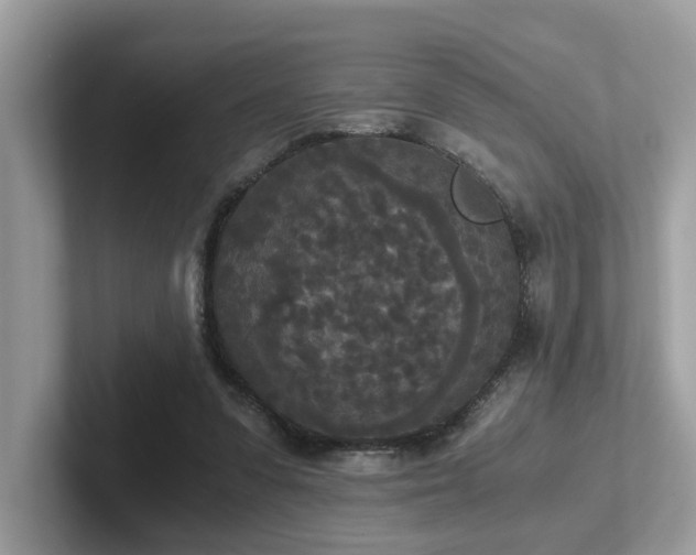 X0000102300303200807251440