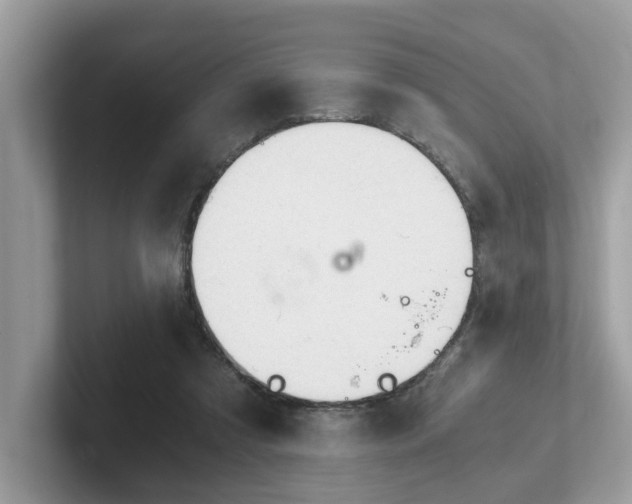 X0000102300305200807251440