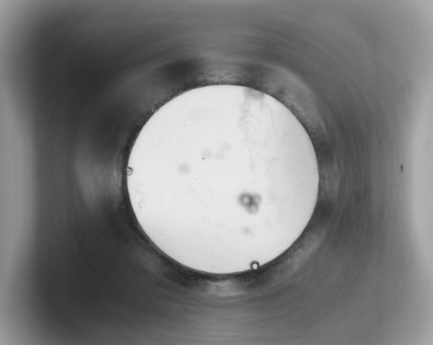 X0000102300309200807251440