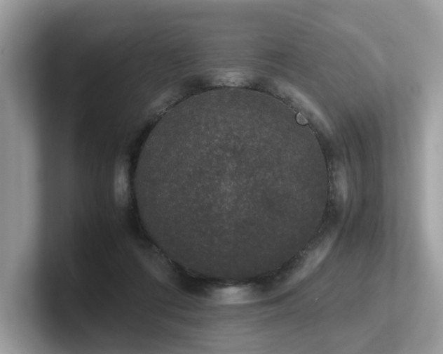 X0000102300312200807251440