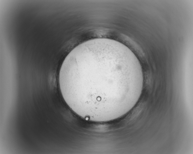 X0000102300313200807251440