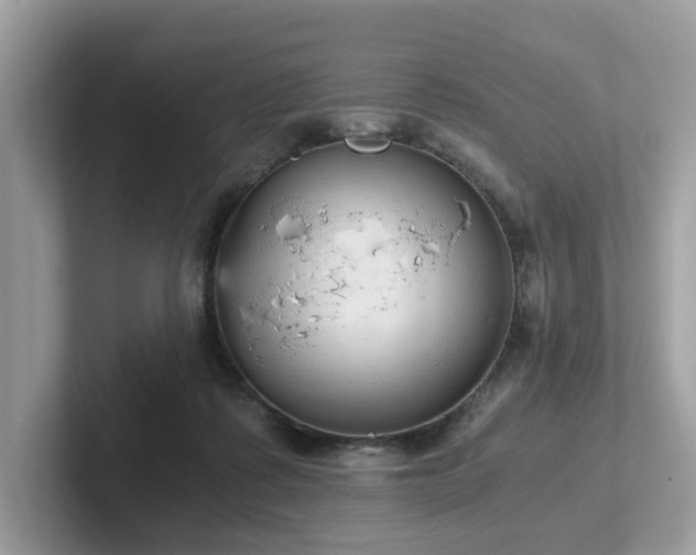 X0000102300315200807251440