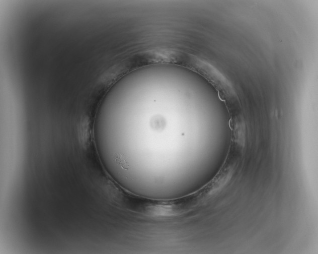 X0000102300318200807251440