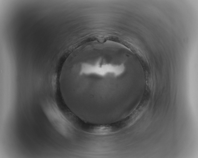 X0000102300319200807251440