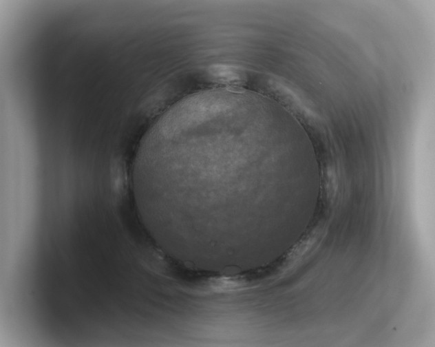 X0000102300320200807251440