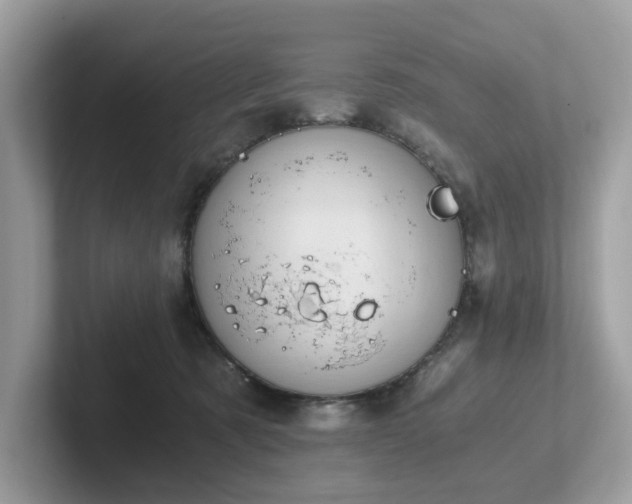 X0000102300321200807251440