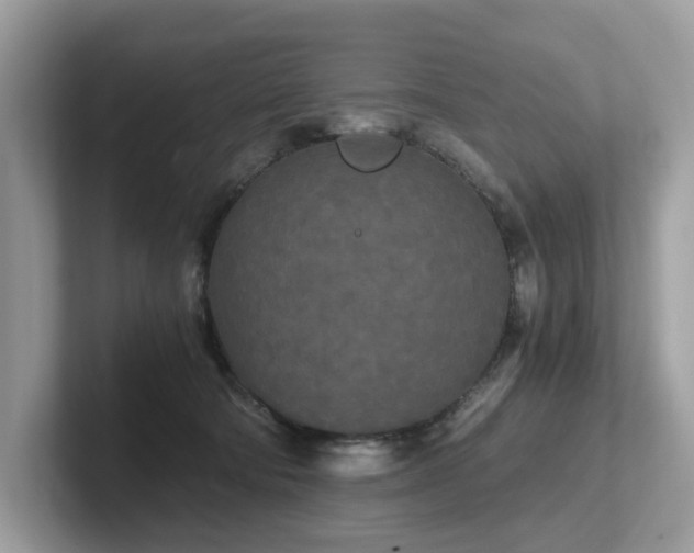 X0000102300322200807251440