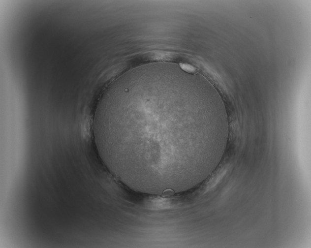 X0000102300325200807251440