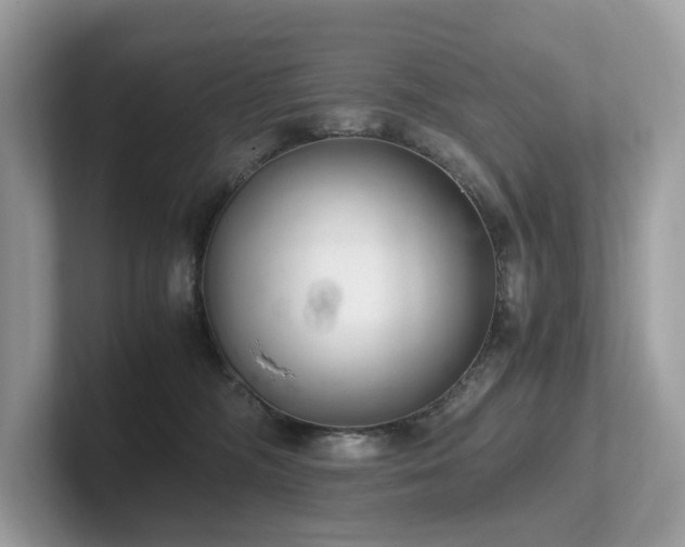 X0000102300326200807251440