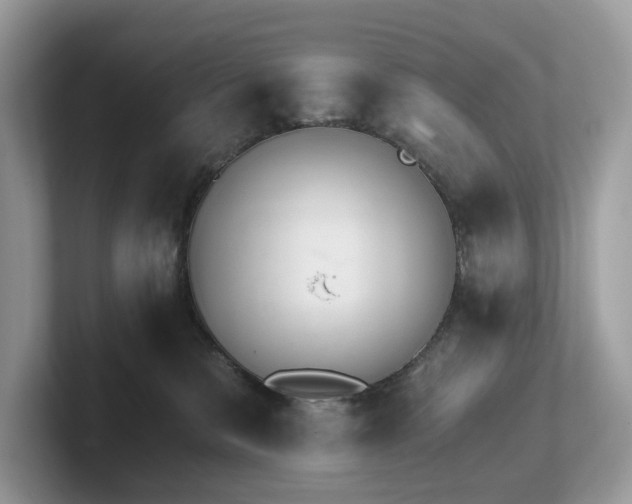 X0000102300327200807251440