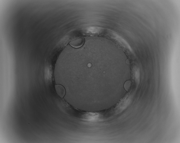 X0000102300328200807251440