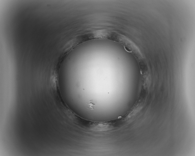 X0000102300329200807251440