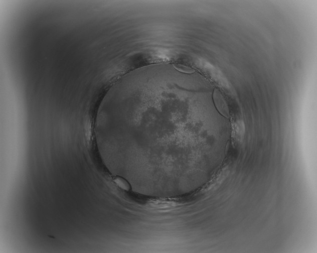 X0000102300331200807251440