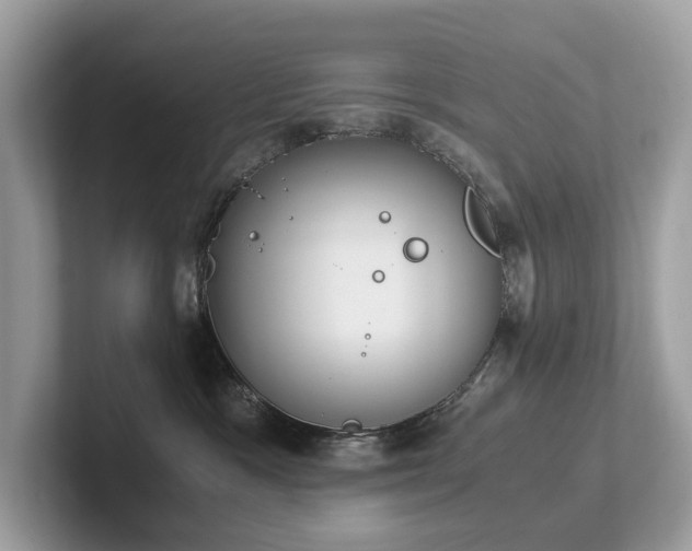 X0000102300333200807251440