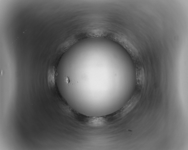 X0000102300334200807251440