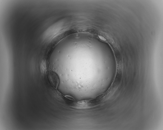 X0000102300335200807251440