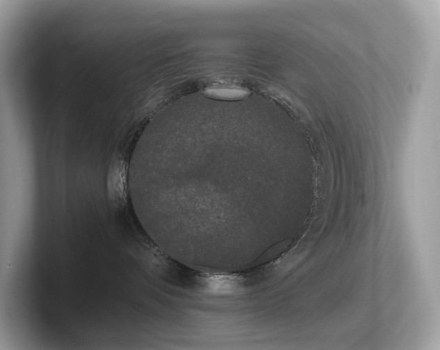 X0000102300336200807251440