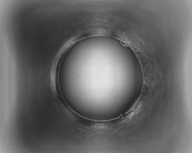 X0000102300341200807251439