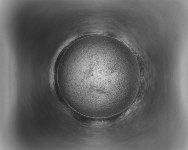 X0000102300342200807251439