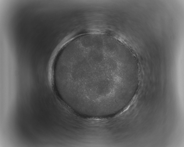 X0000102300343200807251439