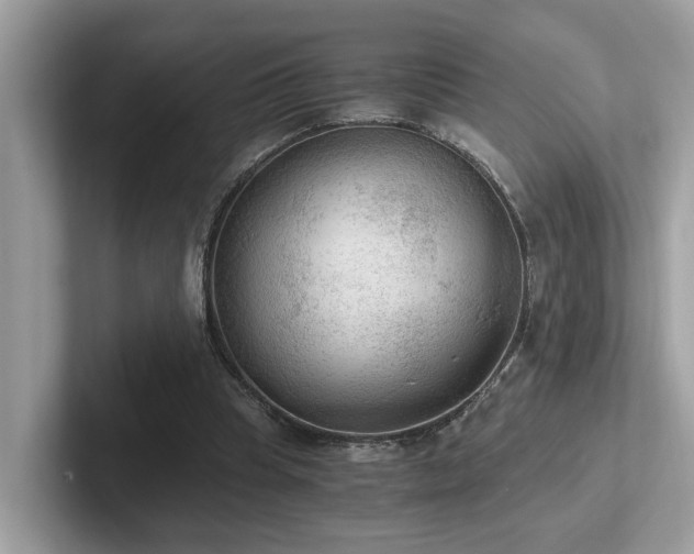 X0000102300345200807251439