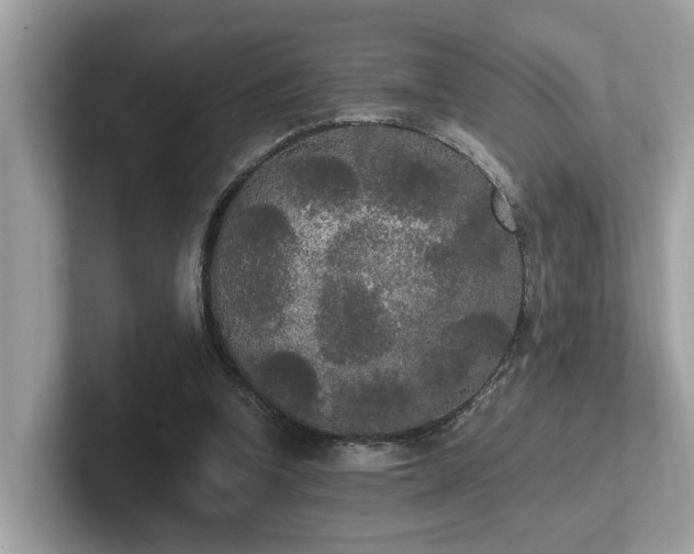 X0000102300346200807251439