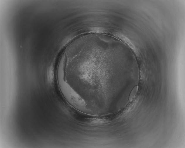 X0000102300347200807251439