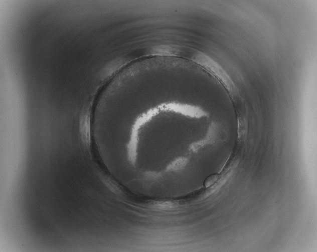 X0000102300349200807251439