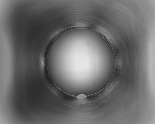 X0000102300350200807251439