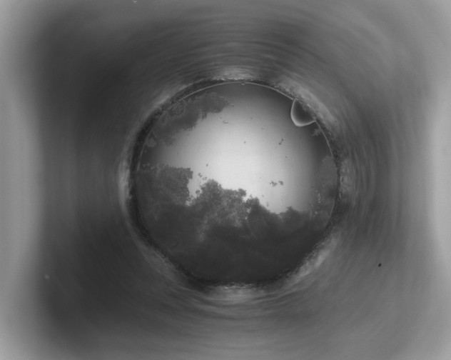 X0000102300351200807251439